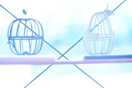 ある晴れた日の