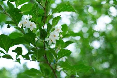 新しいレンズで