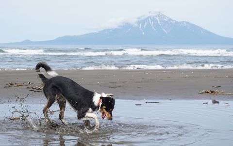 バシャバシャ、たのしーー！