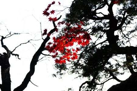 2018.11.18-19 小諸・軽井沢