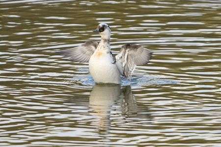 只今、お着換え中