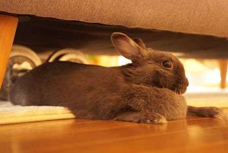 お気に入りの場所で