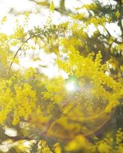 ヒカリに包まれて