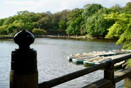 擬宝珠(ぎぼし)