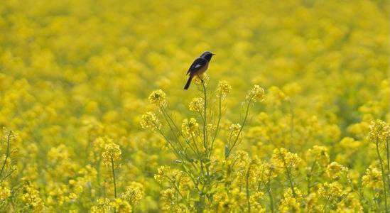 もう少し近し仲良くなりたい