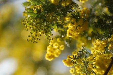 幸せのビタミンカラー