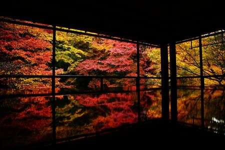 紅葉リフレクション