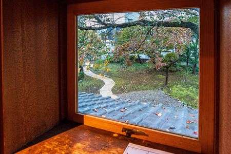 古民家カフェの柿の木