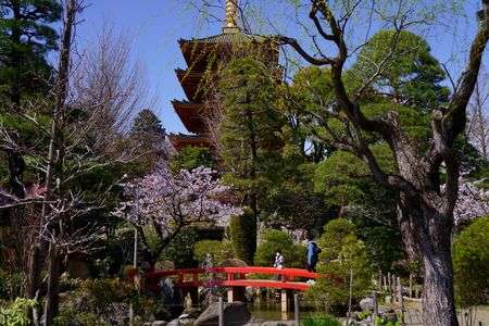 高幡不動尊にお守りを買いに行ってきました。