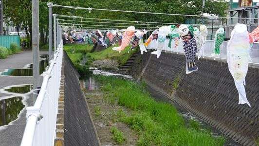 鯉のぼり😀（恋登り❤️！）