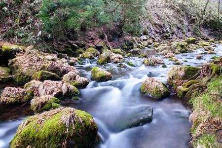 二度目の元滝伏流水