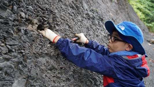 アンモナイトを求めて