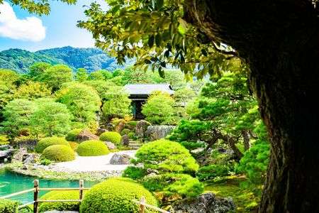 やすらぎの池庭