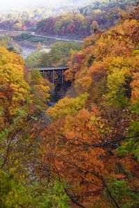 木曽町三岳の紅葉
