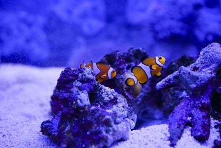 マリンワールドにて