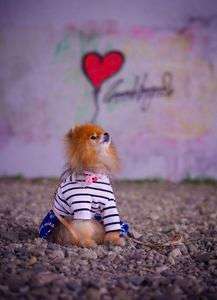 お空を飛べる❓