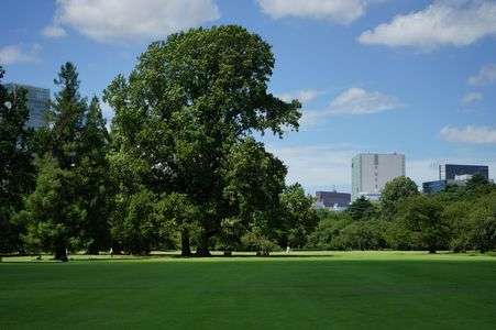 新宿御苑（８/21）