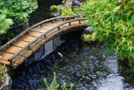 １匹…じゃない。