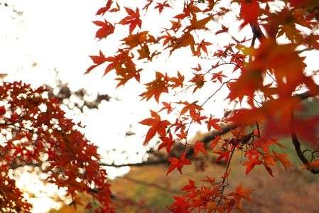 まもなく旅立ち