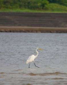 お散歩中の風景
