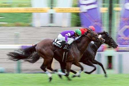 2019.10.14東京10R　国立特別