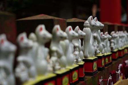 お狐さんの勢揃い(^^♪