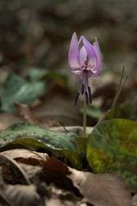 目覚めた時には 春だった