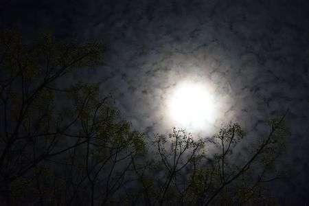 いつかの月明かり