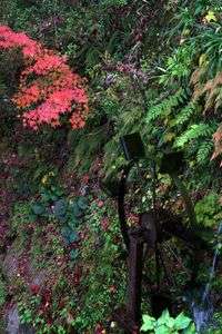 秋月城跡に行ってまいりました