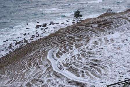 冬色の千枚田