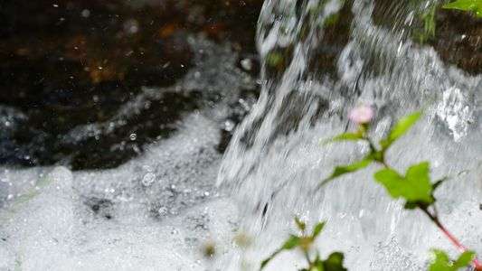 山の恵み大量じゃあ〜