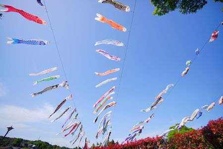 気持ち良さそう♪