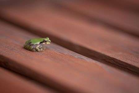 雨、降るかな？