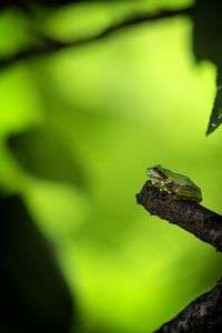 もうちょっと、降ってほしいな、雨。