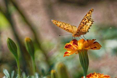 秋は動きが悪いから