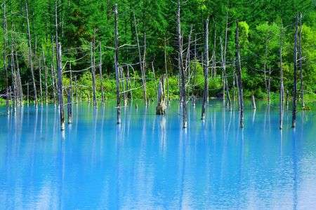 青の涼しさ秋の訪れ