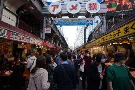 上野散策　桜満開