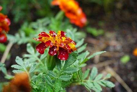 台風が来る前に