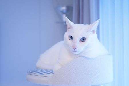 ちょっとニヒルに