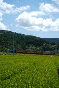 トーマスフェア