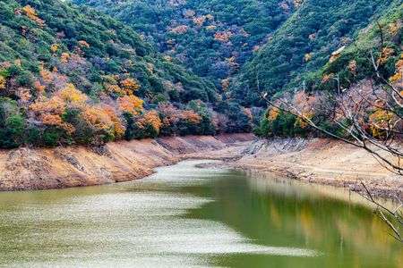 野趣と眺望と優しさの雨山ハイキング
