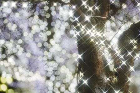 煌めき、溢れる