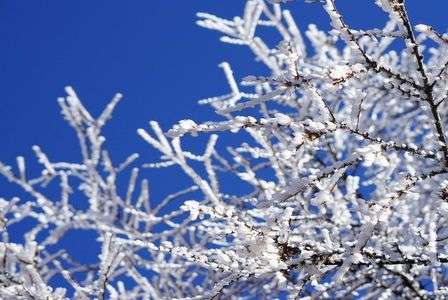 青と白のビーナス