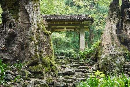山林に溶け込む廃寺群