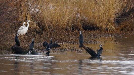 右側になにかあるの？