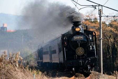 駆け抜けるSL人吉