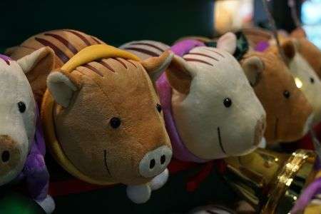 かわいい猪たち