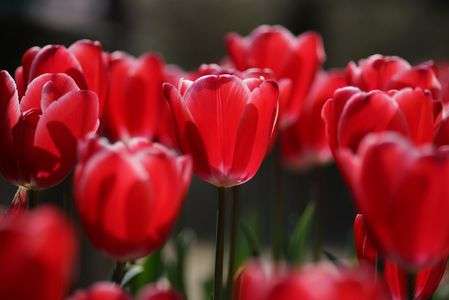 春、真っ只中。