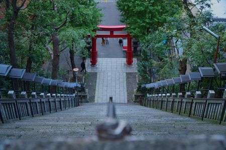 愛宕神社 紅葉前