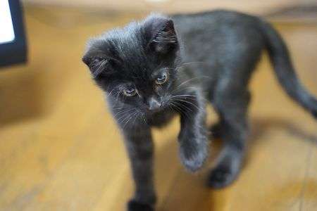 ワンパクでもイイたくましく育ってほしい